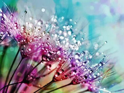 A New Day In The Rain