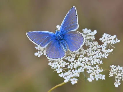 A New Day Morning Ritual With Breathwork