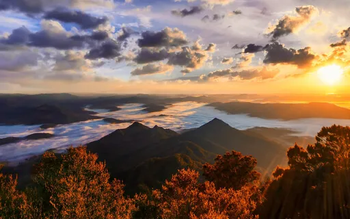 A New Day Morning Ritual