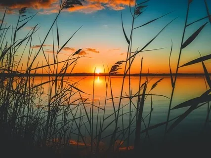 A New Day, New Horizons In 432Hz