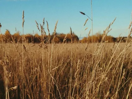 A New Earth Meditation