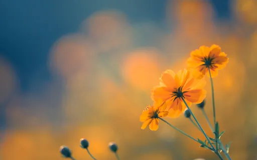 A New Moment For New Beginnings