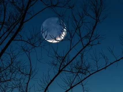 A Powerful Journey For The New Moon