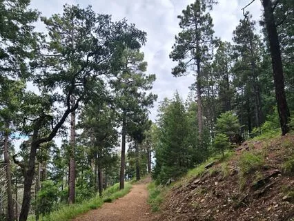 A New Path Appears - Inspirational Poem