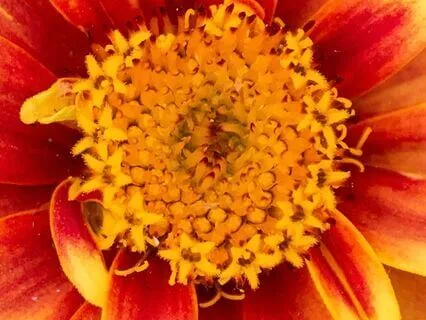 A New Perspective On Persephone's Story: Begin Again