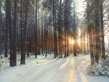 A New Year's Journey 