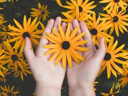 A New You. Transforming The Shadow