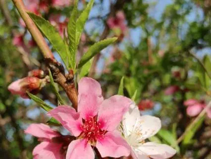 A Night Left As Evidence