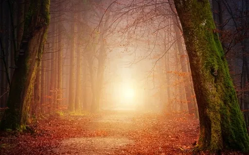 A Nightly Ritual For Deep And Rejuvenating Sleep