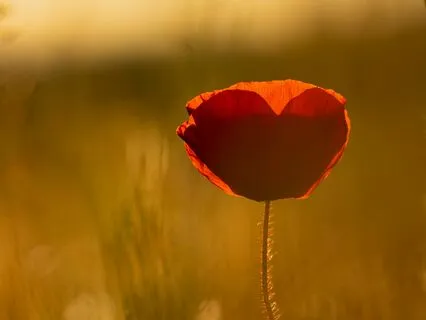 A Non-Traditional Blessing