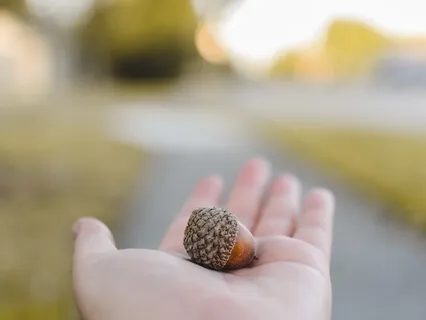 A Nugget Of Self-Love