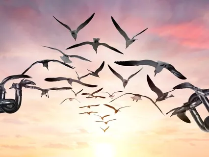 Buddhist Forgiveness Prayer To Teach Us How To Forgive