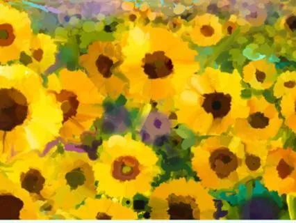 A Path To Presence, Compassion And Love