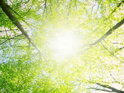 A Path To Resilience, Confidence, And Strength