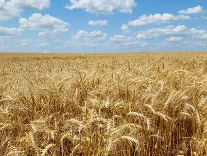 A Path To True Prosperity