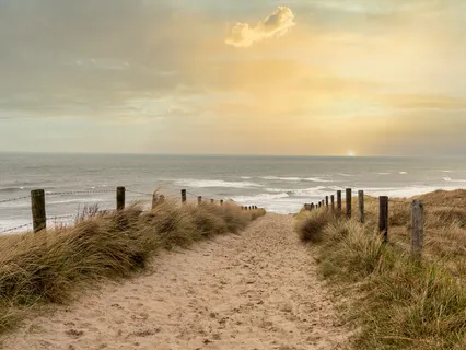 A Path Towards The Light