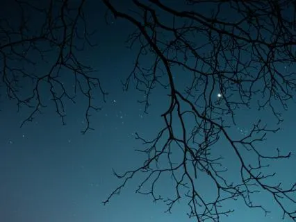 A Pause Before Sleep