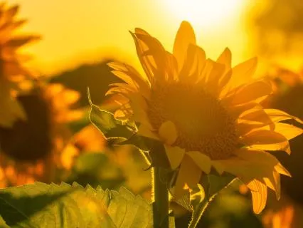 A Pause For The Woman Who Holds So Much