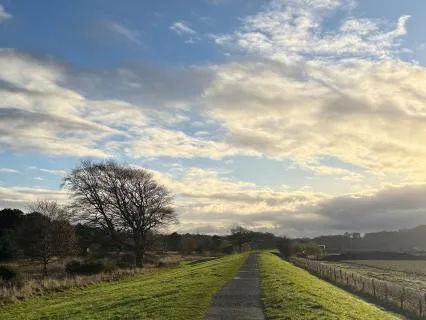 A Pause To Take A Breath