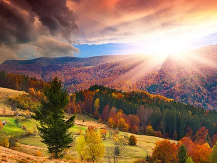 A Peaceful Beginning