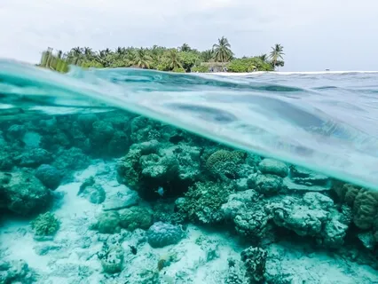 Floating Tides & Pure Tones For Deep Healing (432Hz)