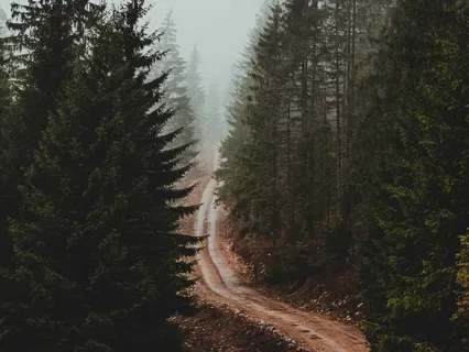 Yoga Nidra In Theta Waves To Prepare For Deep Sleep