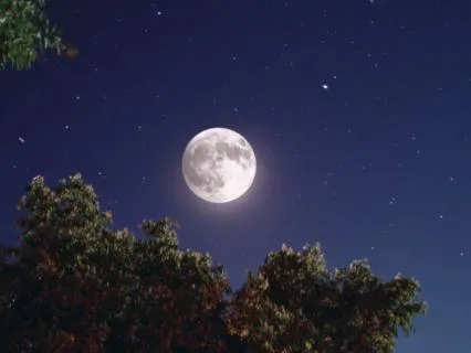 A Peaceful Meditation For Sleep