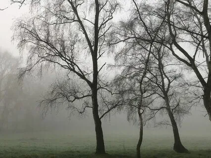 A Personal Revelation