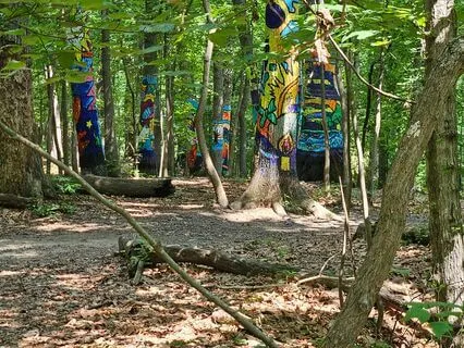 A Personal Transformational Journey With An Energetic Reset