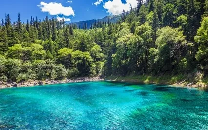 A Petty Mind Is Trapped In Numerous Subtle Desires