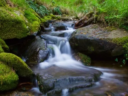 A Place For Peace & Observance