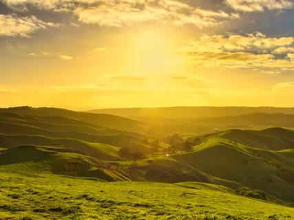 A Place Love Calls Home 