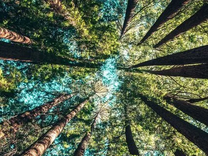 A Place Of Peace Meditation For Relaxation