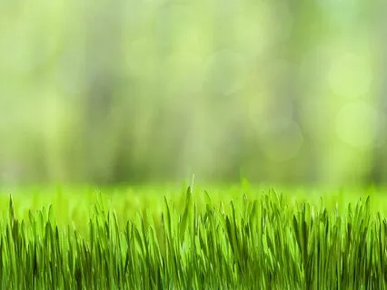 A Place Of Stillness: Guided Deep Relaxation (10 Minutes)