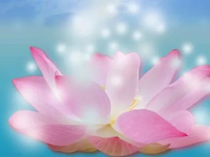 A Place To Begin Again