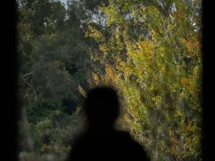 A Place To Land: Finding Home Within Yourself