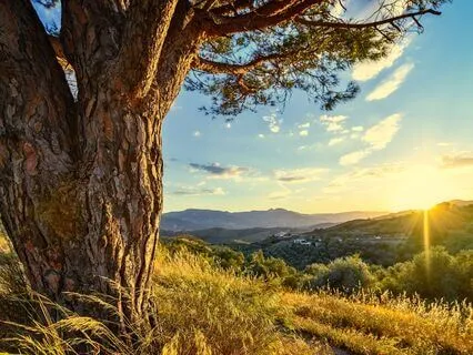 A Pocket Song For Being With What's Here