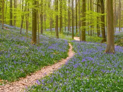 A Pocket Song For Support And Strength