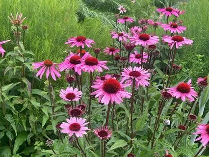 A Pocketful Of Happiness