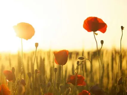 A Poem & Affirmations For Aries Season: Remember Your Power