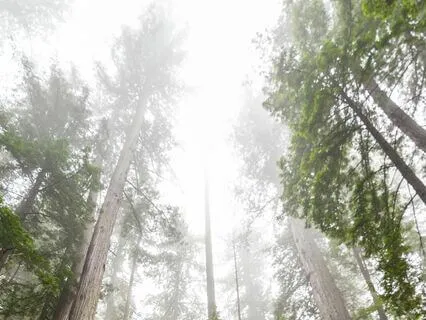 A Poem & Affirmations For Embracing Life As It Is