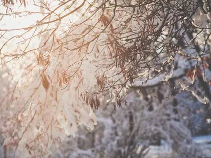 A Poem & Affirmations For Slowing Down