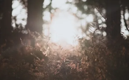 A Poem & Affirmations For Embracing Your Humanness 