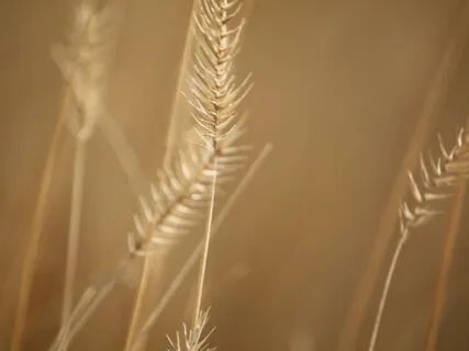 A Poem For Noticing Doses Of God