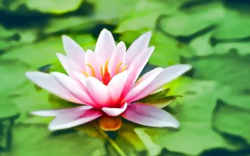 A Poem: For Now, Just Breathe