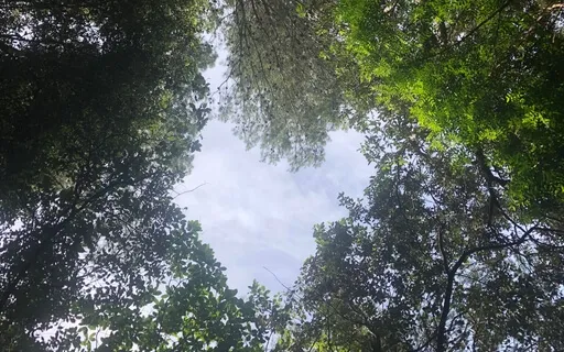 A Poem: For You, My Love