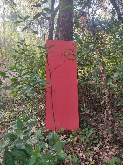 A Porta Para a Felicidade Interior