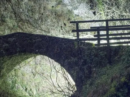 A Possibility Is A Non-Physical Reality