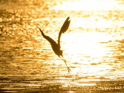 A Powerful Blessing Prayer Over Your Home