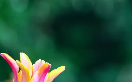 A Powerful Evening Routine To End Your Day In A High Vibe